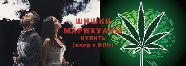 сатива Мегион