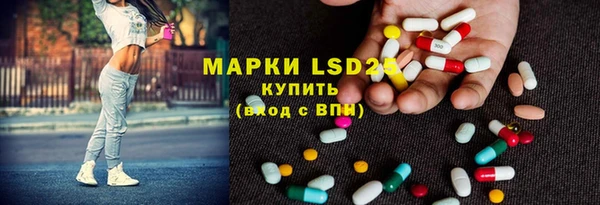 spice Болотное