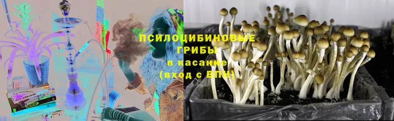 Псилоцибиновые грибы MAGIC MUSHROOMS  где продают наркотики  Вилюйск 